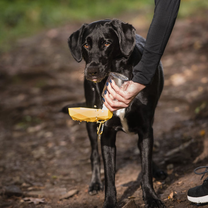 Pet Water Bottle