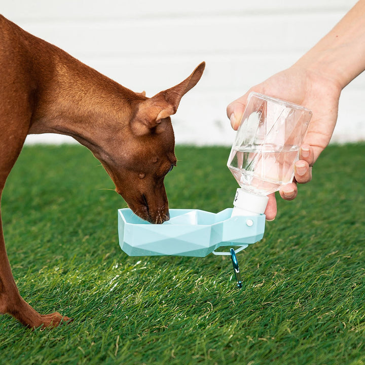 Pet Water Bottle